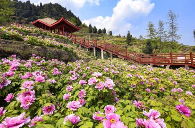 高鐵上吸煙的危害與禁令